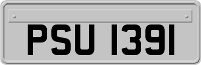 PSU1391