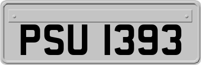 PSU1393