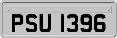 PSU1396