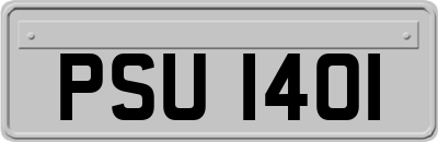 PSU1401
