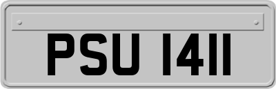 PSU1411