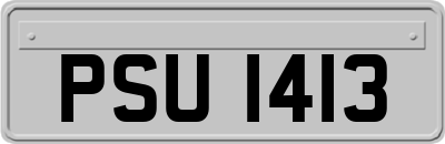 PSU1413