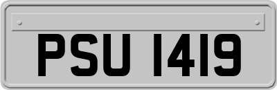 PSU1419