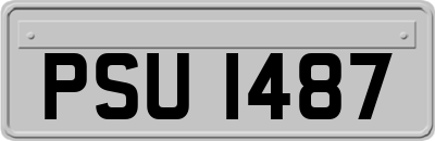 PSU1487