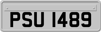 PSU1489