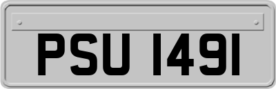 PSU1491