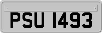 PSU1493