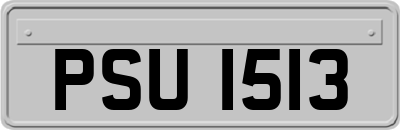 PSU1513