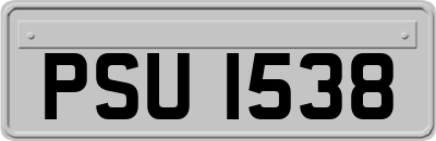 PSU1538