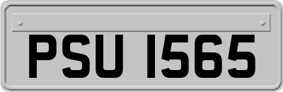 PSU1565