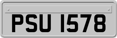 PSU1578