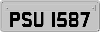 PSU1587