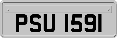 PSU1591