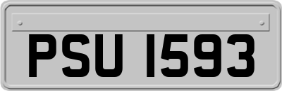 PSU1593