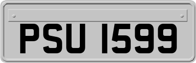 PSU1599