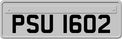 PSU1602