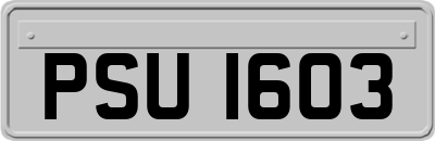 PSU1603