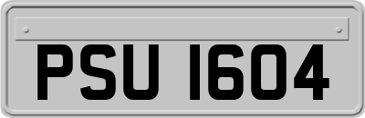 PSU1604