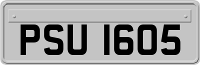 PSU1605