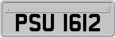 PSU1612