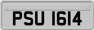 PSU1614
