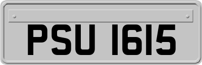 PSU1615