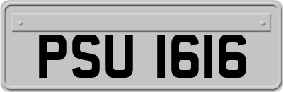 PSU1616