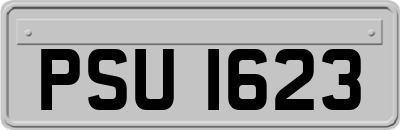 PSU1623