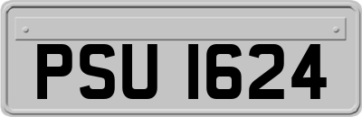 PSU1624