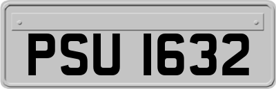 PSU1632