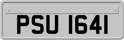 PSU1641