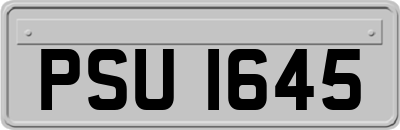 PSU1645