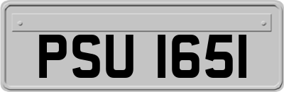 PSU1651