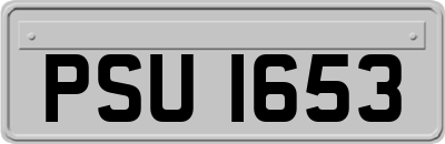 PSU1653