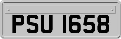 PSU1658