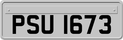PSU1673
