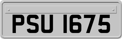 PSU1675