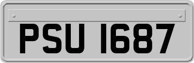 PSU1687