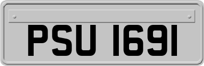 PSU1691