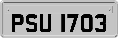 PSU1703