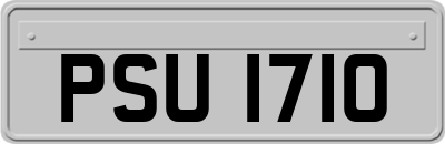 PSU1710