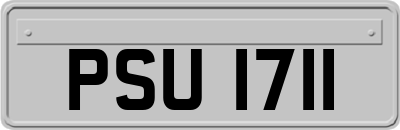 PSU1711
