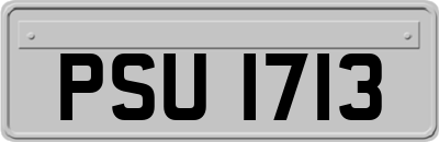 PSU1713
