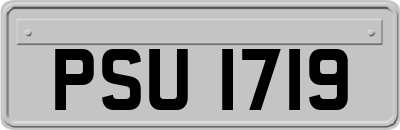 PSU1719