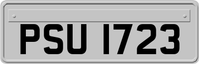 PSU1723