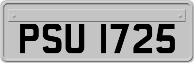 PSU1725