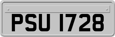 PSU1728