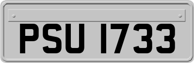 PSU1733