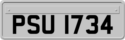 PSU1734