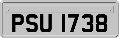 PSU1738
